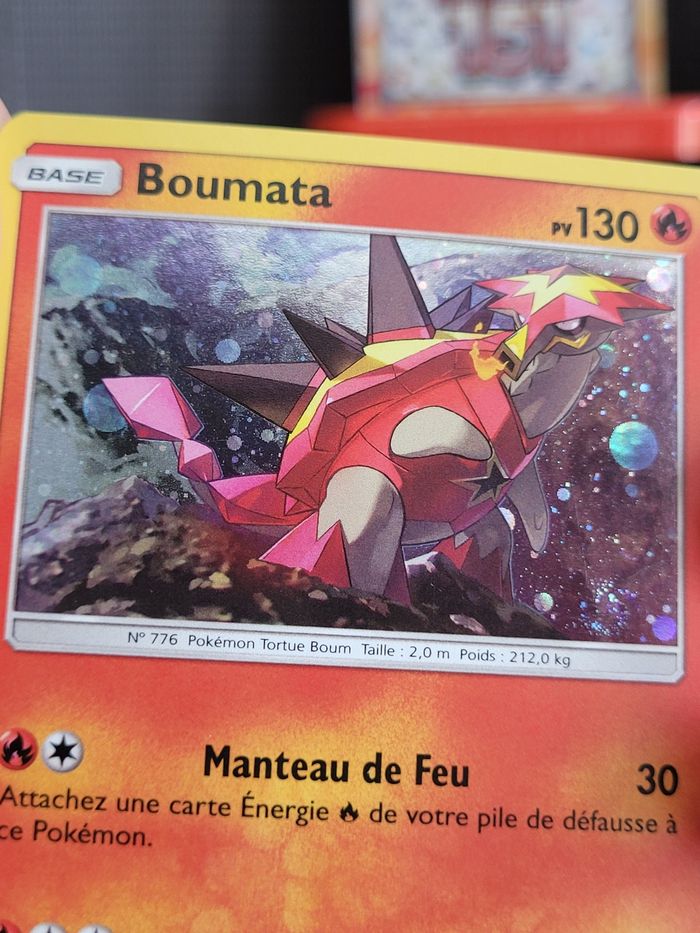 Boumata SM27 et Lucanon SM28 - photo numéro 5