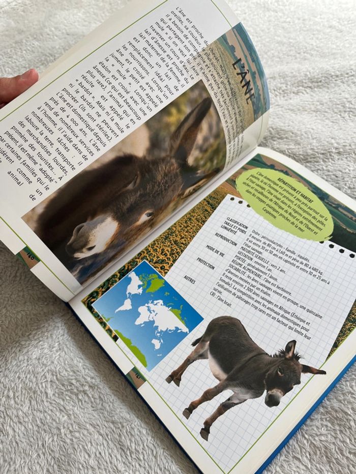 Livre atlas des animaux - photo numéro 7