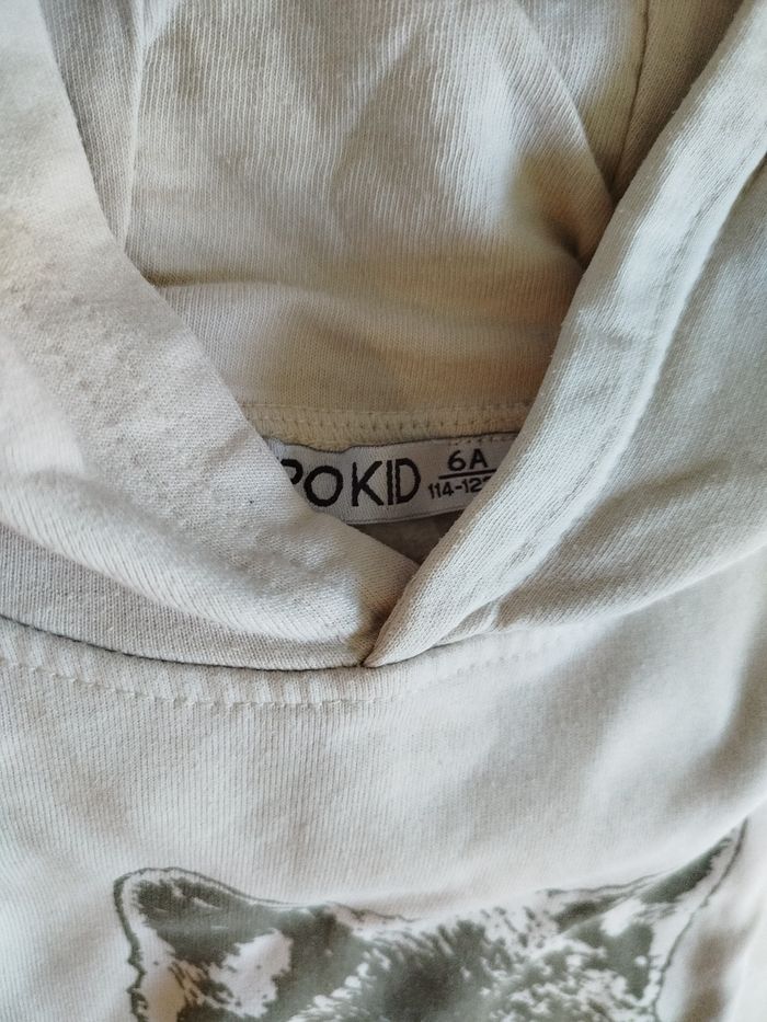 Lot de 6 sweats à capuche garçon 6 ans - photo numéro 8