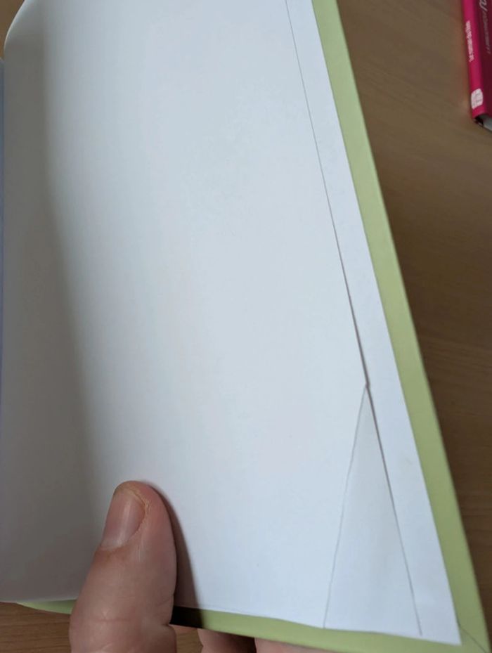 Livre la princesse et la grenouille Disney - photo numéro 5
