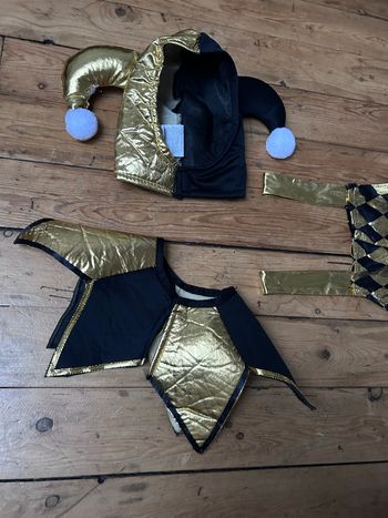 Déguisement arlequin joker 5-6 ans Fiesta