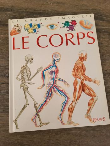 La Grande Imagerie- Le Corps