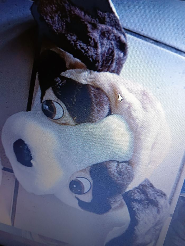 Déguisement CHIEN taille 3 / 4 ans - photo numéro 5