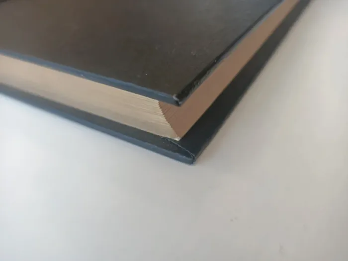 Livre Hans Christian Andersen contes (collection promesses / éditions d'antan ) - photo numéro 5