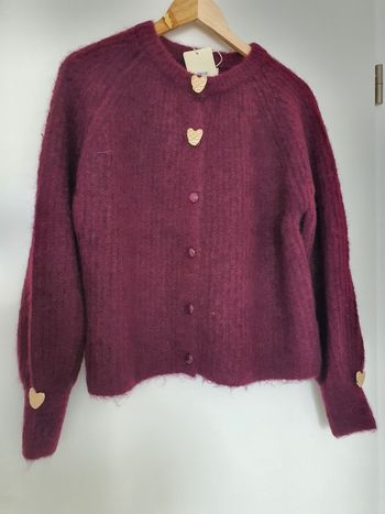 Pull cardigan laine broche dorée