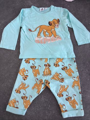 Ensemble simba