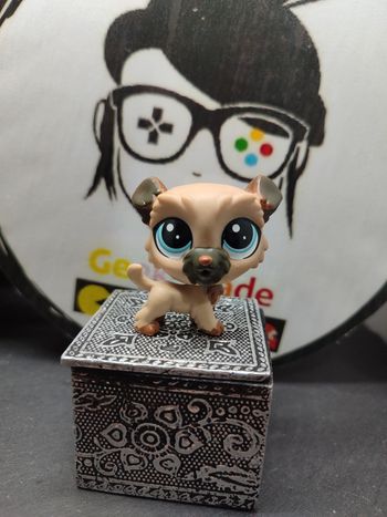 Lps01210 My Littlest Petshop Lps Pet Shop Dog  Chien Terrier Elvy Wheaton 120