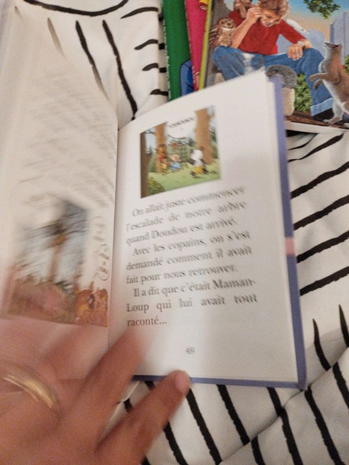 Livre Mini Loup Bibliothèque rose - photo numéro 3