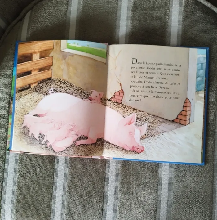 Livre pour enfant - photo numéro 3