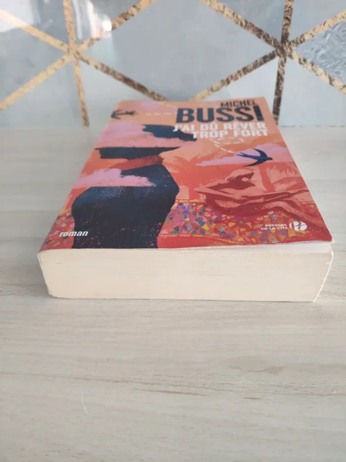 Livre grand format J'ai dû rêver trop fort Bussi - photo numéro 2