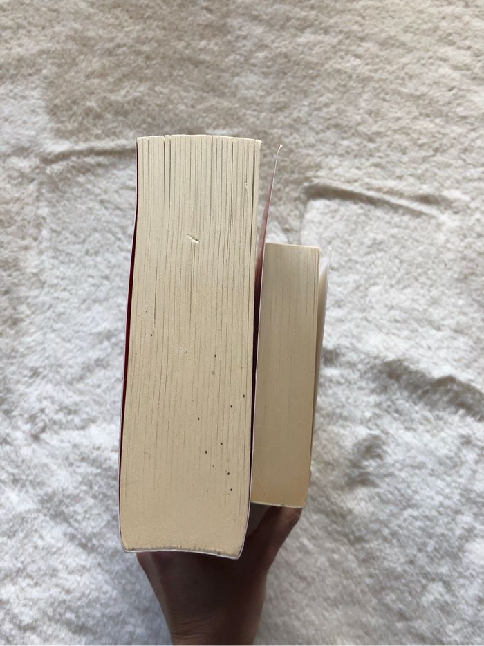 Lot 2 romans hiver / noël - photo numéro 5