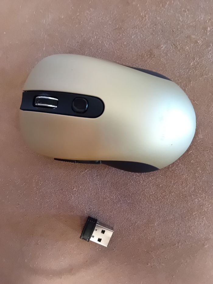 Souris d'ordinateur sans fil