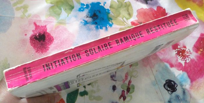 INITIATION SOLAIRE RAMIQUE RESTITUEE par André COTTY - photo numéro 4