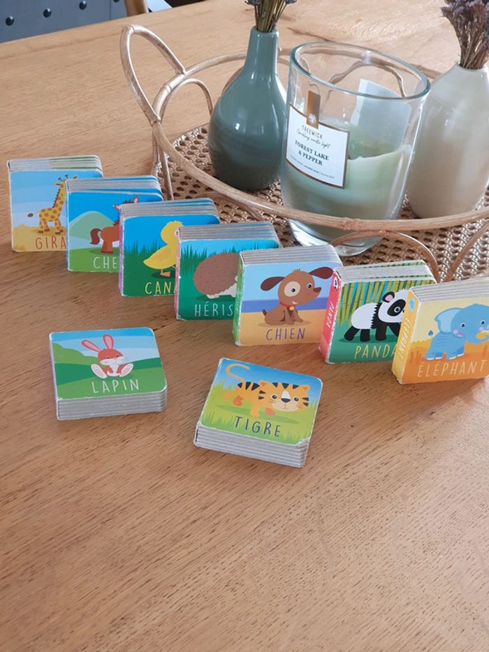 Lot de mini livres animaux