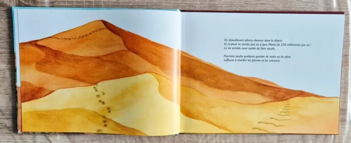 Livre - Dessine-moi un désert - photo numéro 2