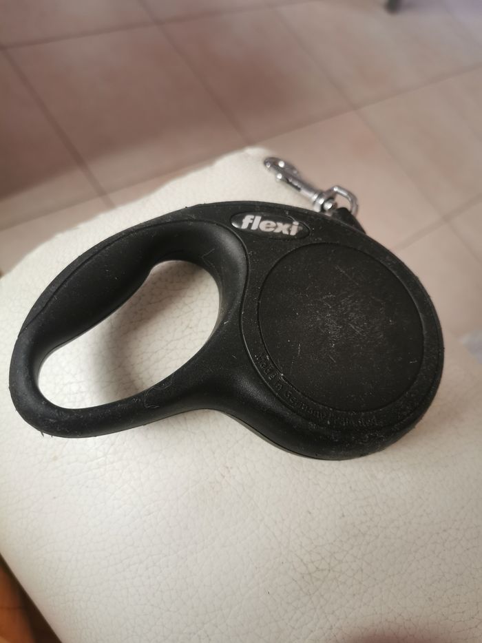 Laisse pour petits chiens Flexi retractable - photo numéro 4