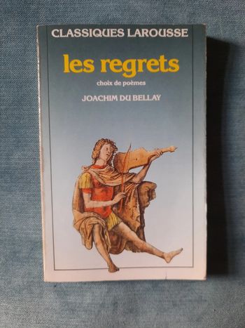 Livre Les regrets