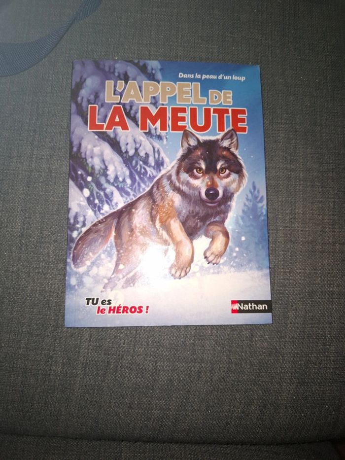 Livre collège