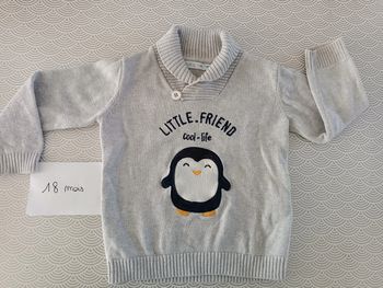Pull pingouin 18m