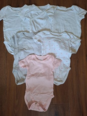 Lot 7 bodies