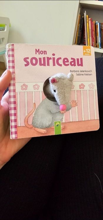 livre marionnette souris
