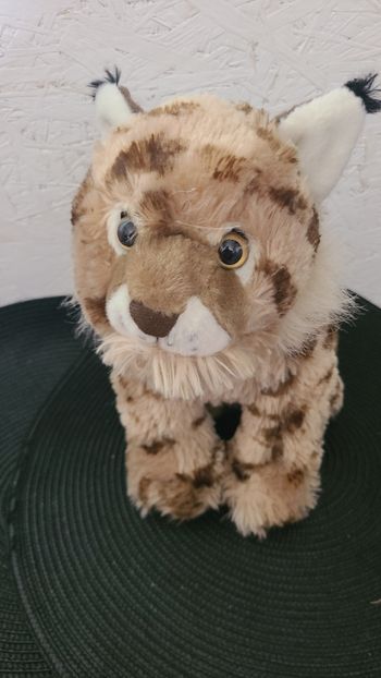 Peluche Lynx - Wild Republic