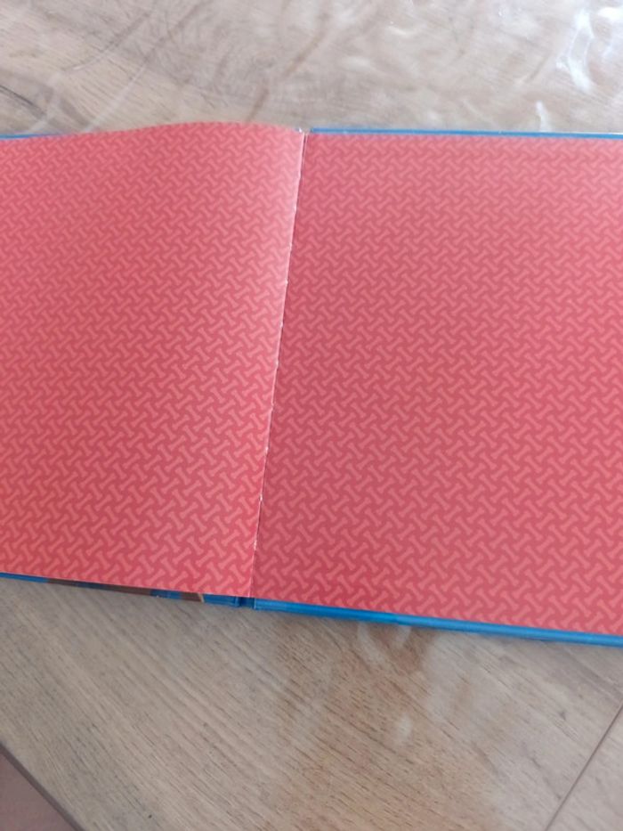 Livre pat patrouille - photo numéro 6
