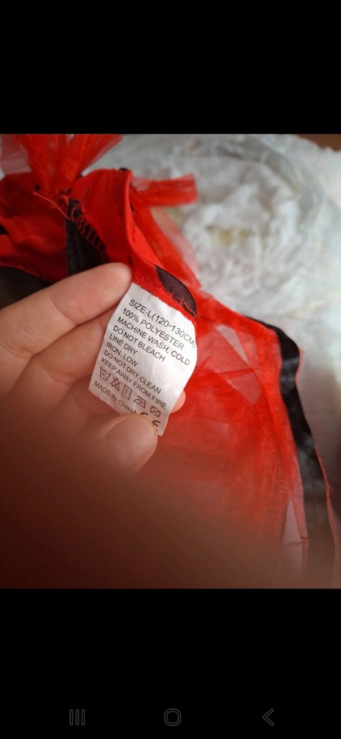 Déguisement coccinelle 🐞 - photo numéro 6