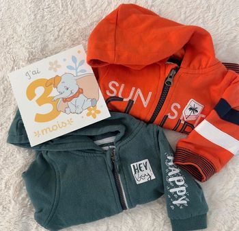 Lot 2 sweat gemo 3 mois