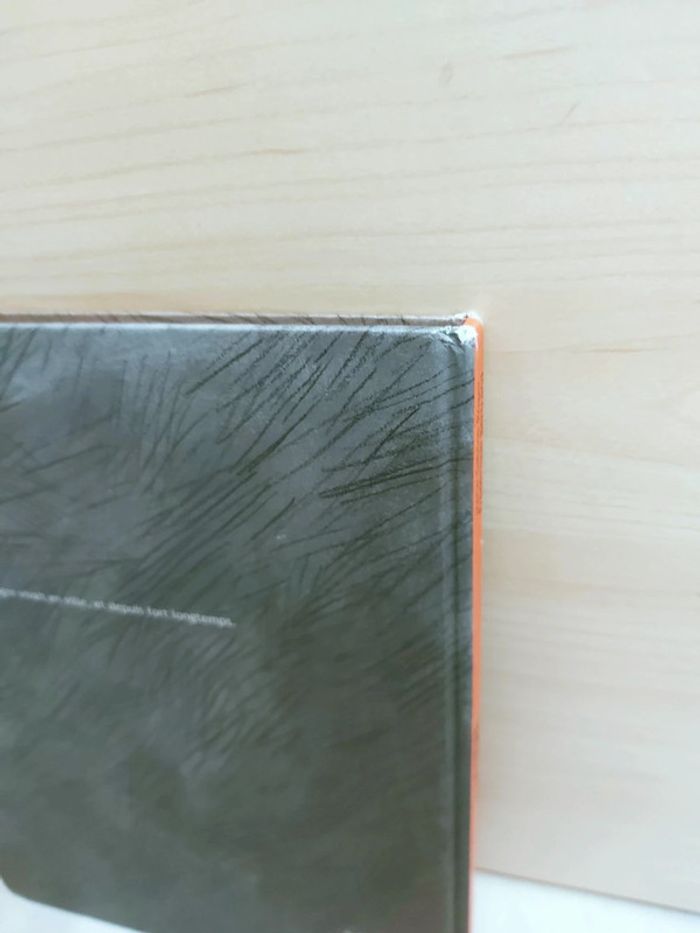 📚 Livre : Le vieil ogre - photo numéro 6