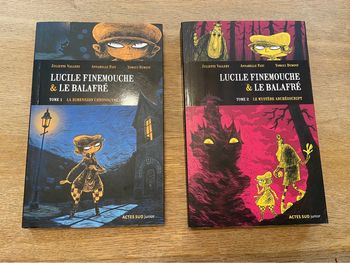 « Lucile Finemouche et le balafré » tome 1 et tome 2 Éditions Actes Sud junior