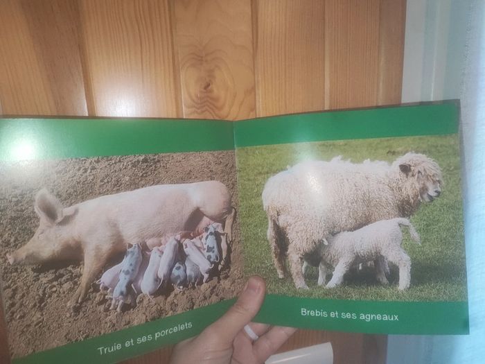 Livre la journée des bébés animaux - photo numéro 3