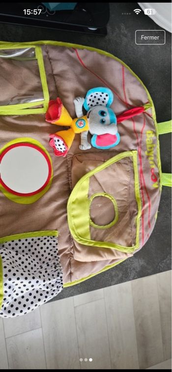 Organisateur voiture 