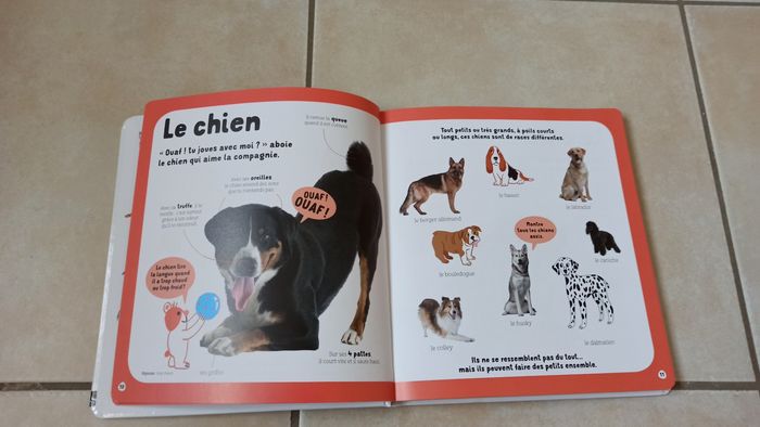 Livre Dokéo mon livre des animaux - photo numéro 3