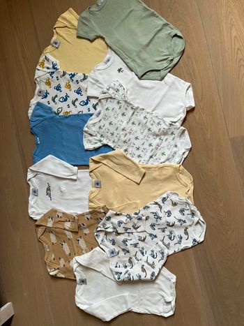 Lot 11 bodies 6m