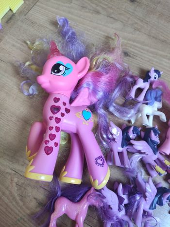 Lot de poney