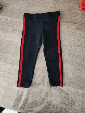 Treggins