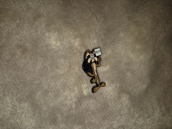 Broche the looney tunes