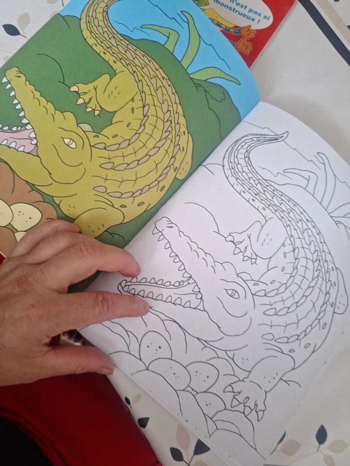 #cahier de coloriage - photo numéro 2