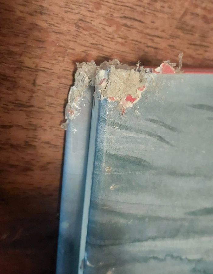 BD Née quelque part - photo numéro 6