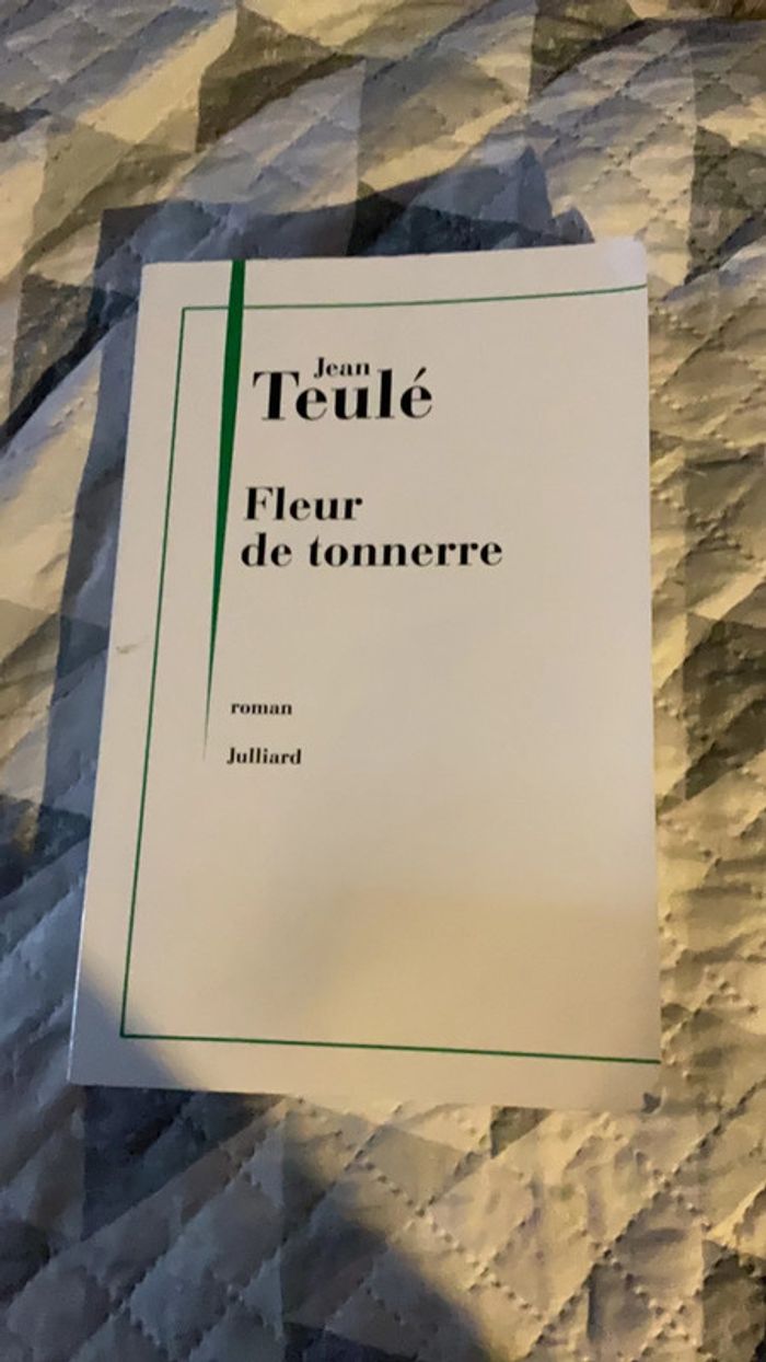#fleur de tonnerre Jean Teulé - photo numéro 2