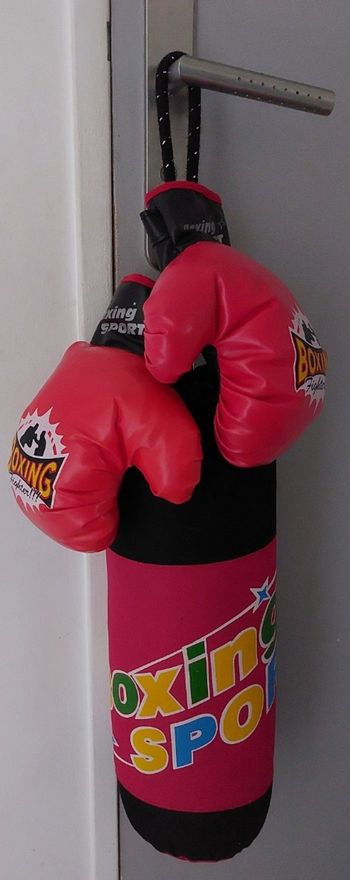 Sac de frappe + gants de boxe