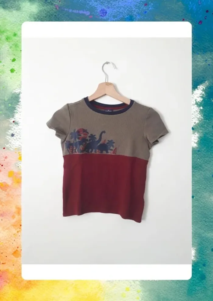 Tshirt dinosaures 9 ans
