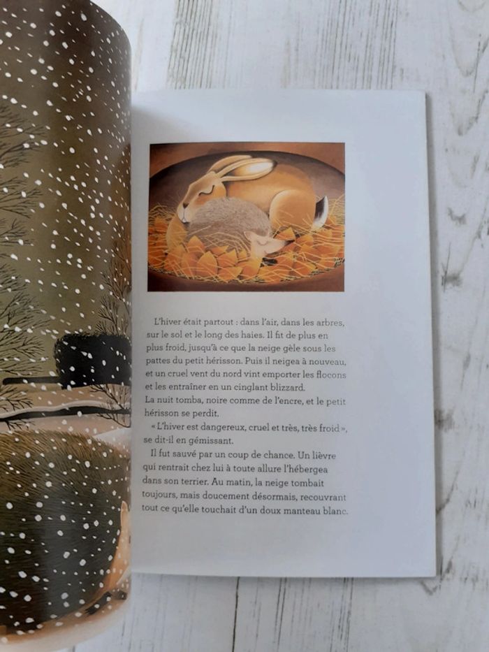 Livre Un hérisson en Hiver - photo numéro 2