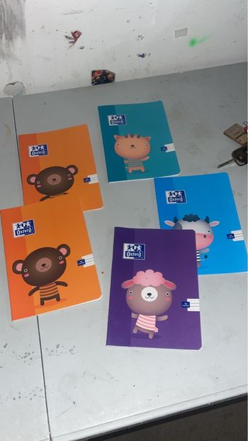 Lots cahier Oxford neuf 