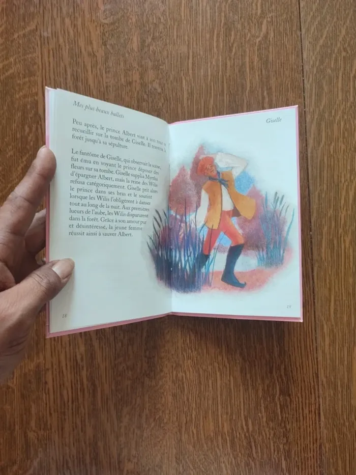 Livre mes plus beaux ballets - photo numéro 12