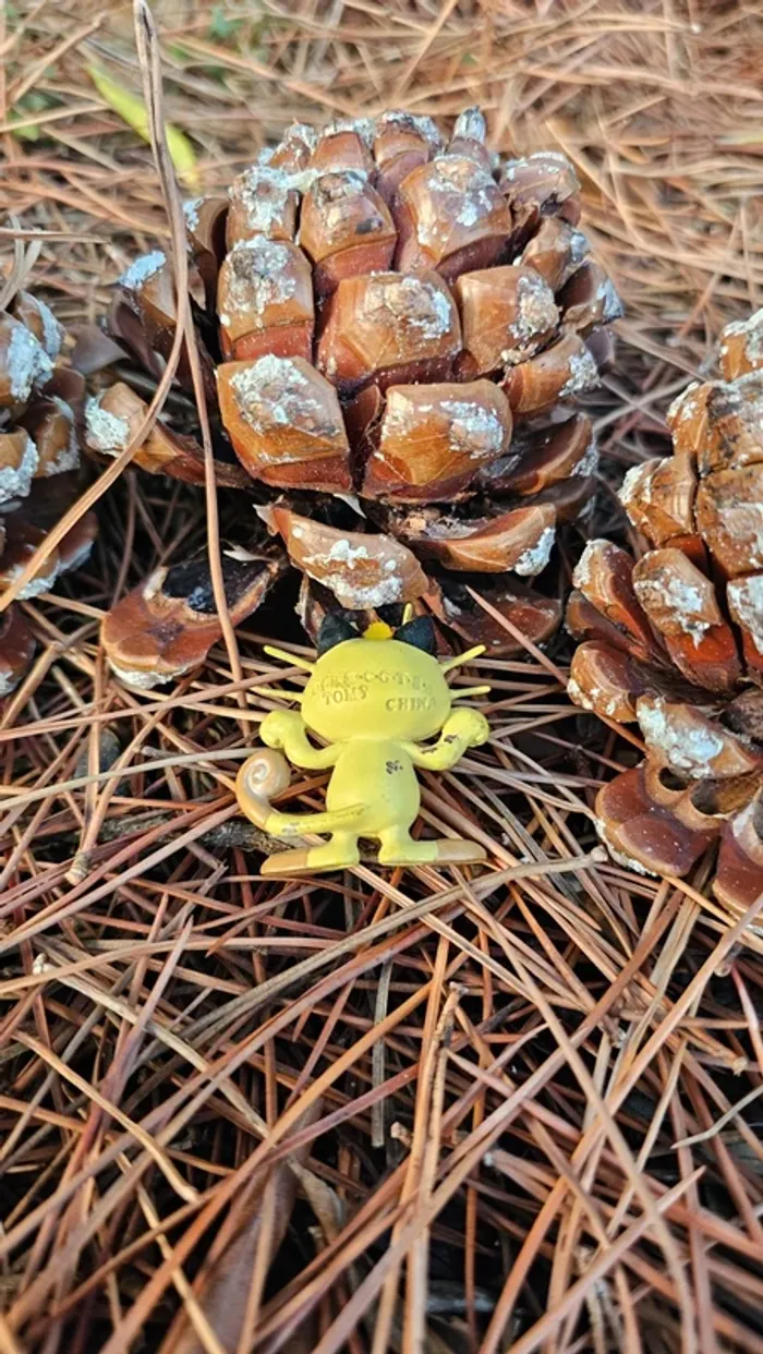 Super figurine Pokemon Nintendo tomy C.G.T.S.J Miaous - photo numéro 4