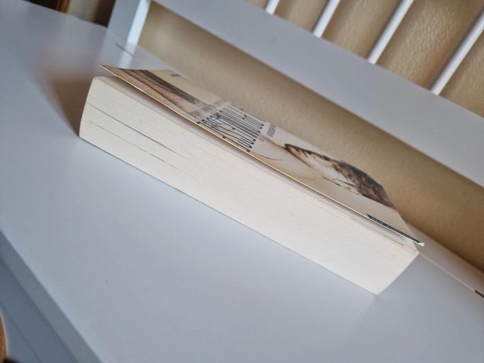 Livre romance - photo numéro 3