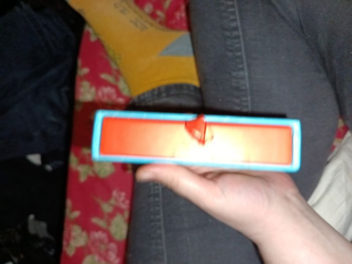 Dingo'zoo - photo numéro 2