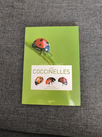 Les coccinelles